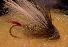 Marabou Muddler