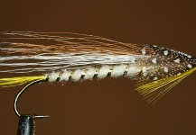 Fly-tying for Brown trout - Pic shared by Ariel Garcia Monteavaro – Fly dreamers 