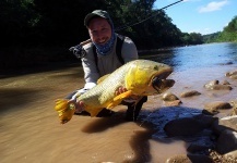 Fly-fishing Situation of Golden Dorado - Picture shared by Lucas Alvarez – Fly dreamers