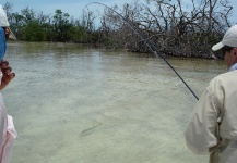 El gran Snook de Sebas 