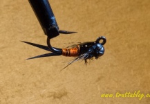 Andrew Fowler 's Fly-tying for Brown trout - Pic – Fly dreamers 