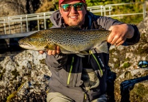 Fly-fishing Image of Brown trout shared by Alexander Lexén – Fly dreamers