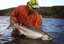 Fly-fishing Picture of King salmon shared by Pristine Waters – Fly dreamers