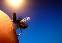  Foto de Atado de moscas para Trucha arcoiris compartida por Carlos Estrada – Fly dreamers