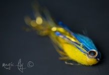 Fly-tying for Pike -  Image shared by Paul Fiedorczuk – Fly dreamers