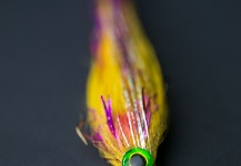 Paul Fiedorczuk 's Fly-tying for Pike - Picture – Fly dreamers 