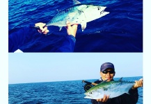 Chanan Nycdentwerks 's Fly-fishing Photo of a False Albacore - Little Tunny – Fly dreamers 