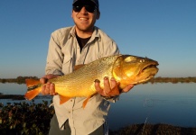 Golden Dorado Fly-fishing Situation – Lucas Berraz shared this Good Image in Fly dreamers 
