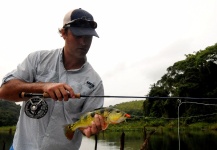 Pesca con mosca en Panamá, San Blas y Lago Gatún.