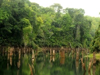 Lago Gatún