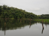 Lago Gatún