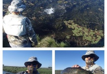 Blue Wolf Fish Fly-fishing Situation – Carlos Bordagaray shared this Photo in Fly dreamers 