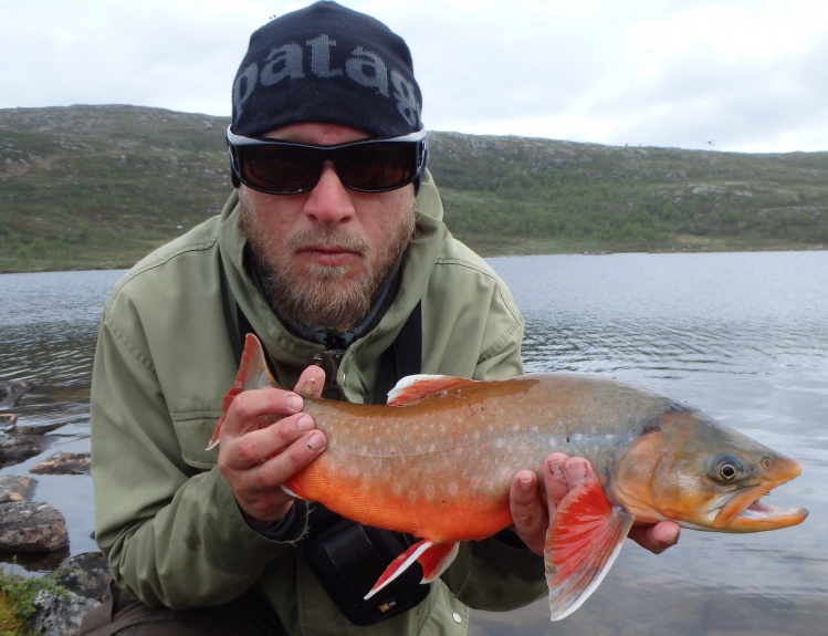 Streaking caddis 
