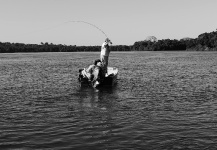  Payara o Cachorra – Situación de Pesca con Mosca – Por Roberto Véras