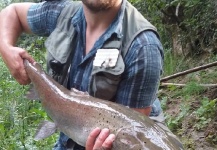  Foto de Pesca con Mosca de Danube Salmon por Slo Flyfishing – Fly dreamers 