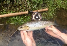  Imagen de Pesca con Mosca de Sea-Trout (Trucha Marrón Anádroma) por Nicolas  Grosz – Fly dreamers