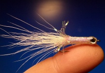 Fly for Rainbow trout - Picture by Carlos Estrada – Fly dreamers 