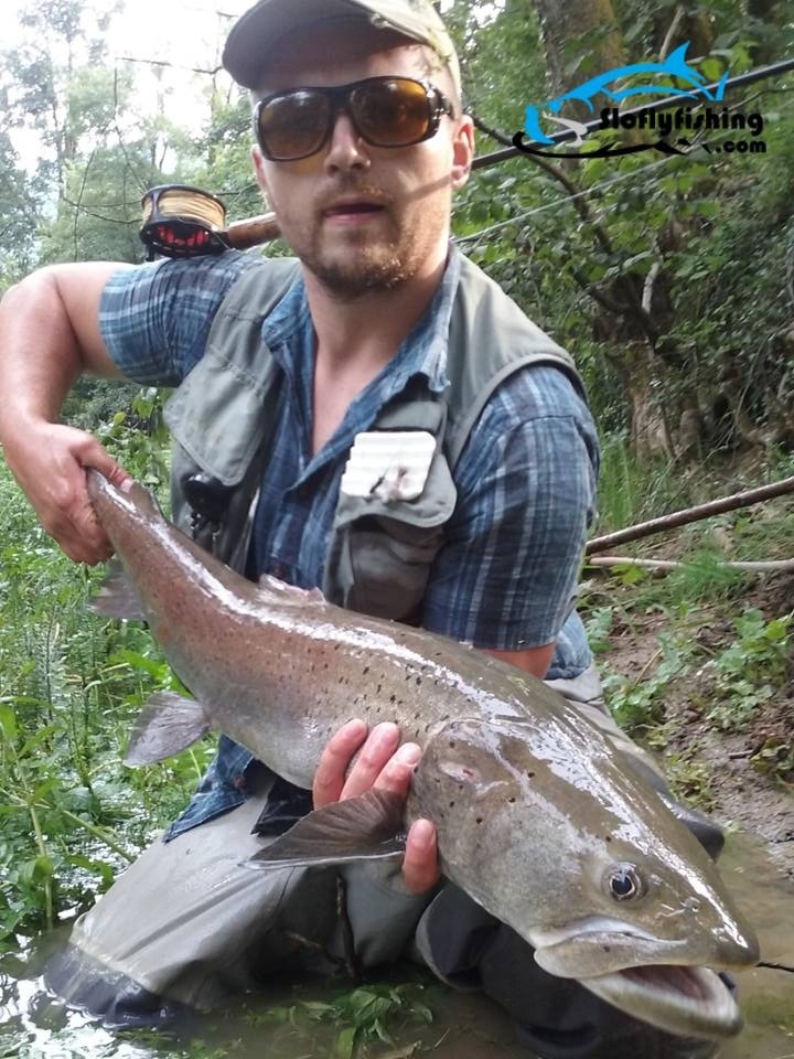 When a Danube salmon / Huchen suddenly suprises you on a trout fishing day, it is always exciting :D