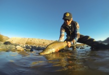 Karim Jodor 's Fly-fishing Pic of a Brown trout – Fly dreamers 