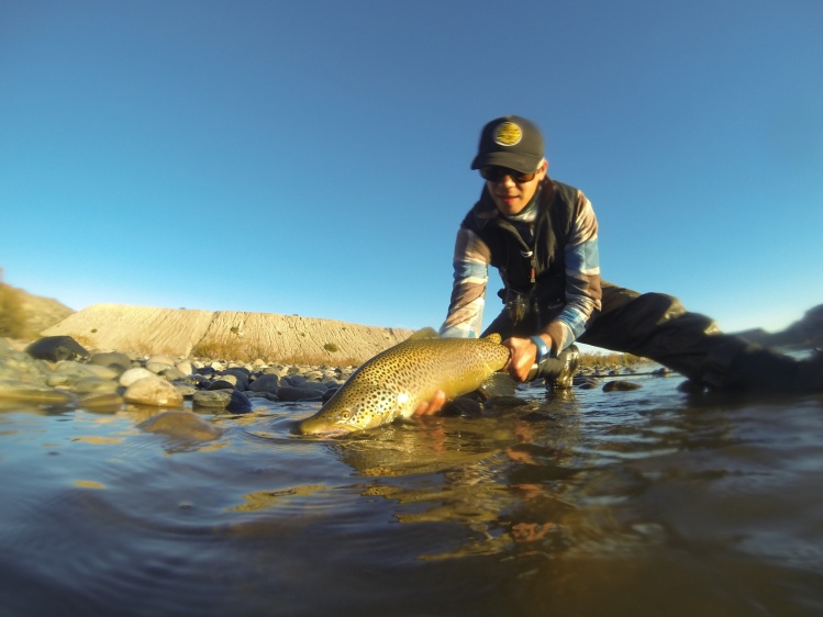 Rio Limay Medio