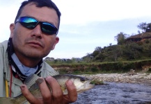  Captura de Pesca con Mosca de Bass de boca grande - Lubina Negra por Carlos Ceballos – Fly dreamers