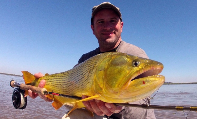 Dorado capturado en Arroyo Seco 