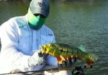 Elias Kuffaty 's Fly-fishing Photo of a Peacock Bass – Fly dreamers 