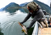 Fly-fishing Pic of Brown trout shared by Alex Habibeh – Fly dreamers 