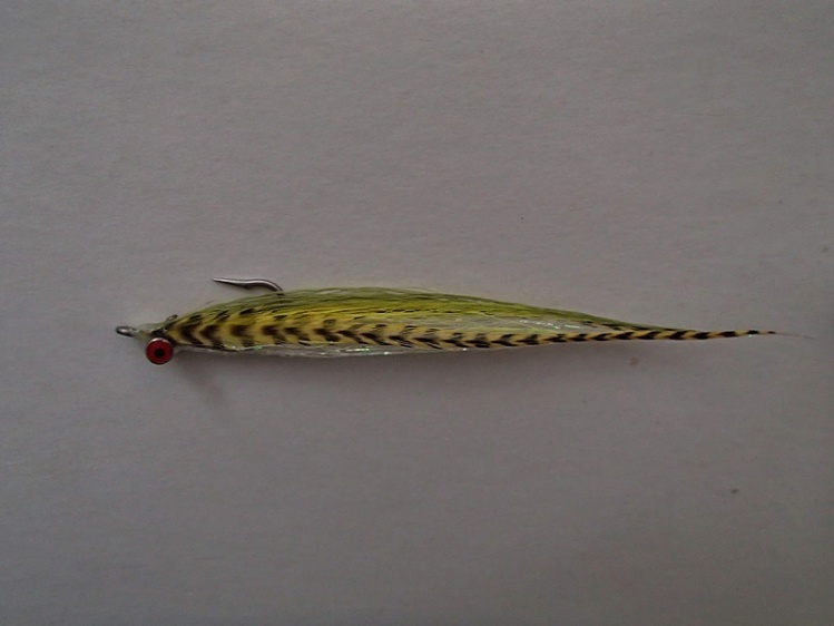 Just a nice Clouser Minnow with local colors. Stripers, blues and anything eat spearing love this fly.