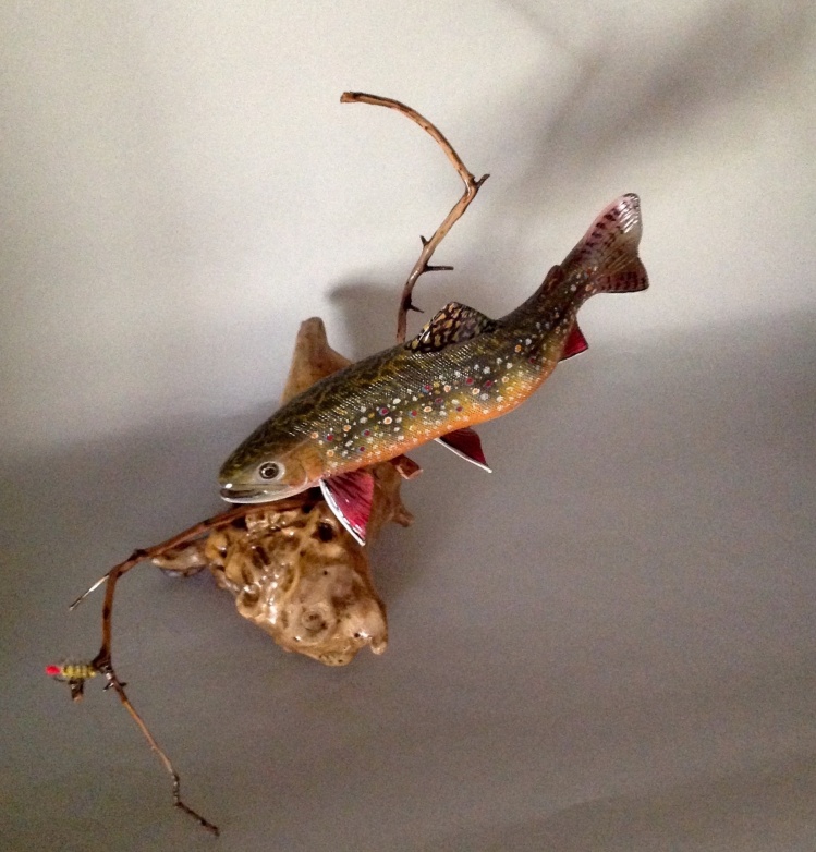 8 inch Brook Trout glimpsing a snagged fly.