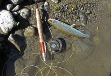  Cutthroat – Interesante Situación de Pesca con Mosca – Por Jay Burman