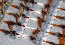 Fly-tying Image shared by Ariel Garcia Monteavaro – Fly dreamers