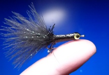 Carlos Estrada 's Fly-tying for Rainbow trout - Photo – Fly dreamers 