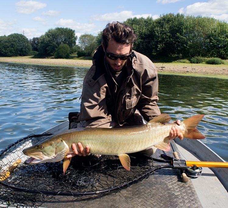 T&amp;T sales manager Joe Goodspeed working some muskie magic with his Solar 11wt.