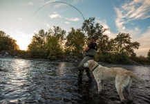 King salmon Fly-fishing Situation – Nate Bailey shared this () Image in Fly dreamers 