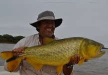 Golden Dorado Fly-fishing Situation – Fabian Rubano shared this Interesting Image in Fly dreamers 