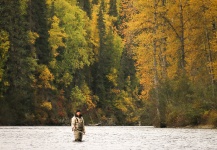  Mira esta fotografía de Situación de Pesca con Mosca de Andrew Hardingham | Fly dreamers