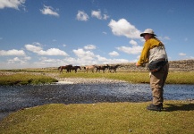  trucha fontinalis – Excelente Situación de Pesca con Mosca – Por Juan Manuel Biott