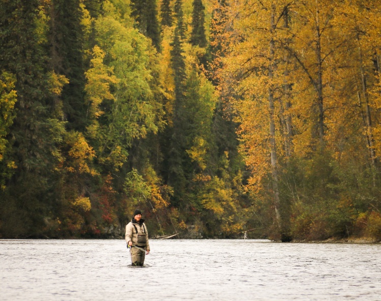 fall colours are the best part