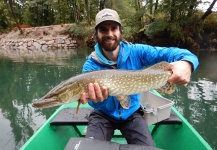 Fly-fishing Image of Pike shared by Miha Lenic – Fly dreamers