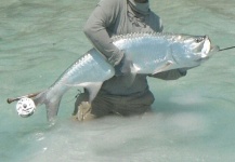Fly-fishing Image of Tarpon shared by Michael Biggins – Fly dreamers