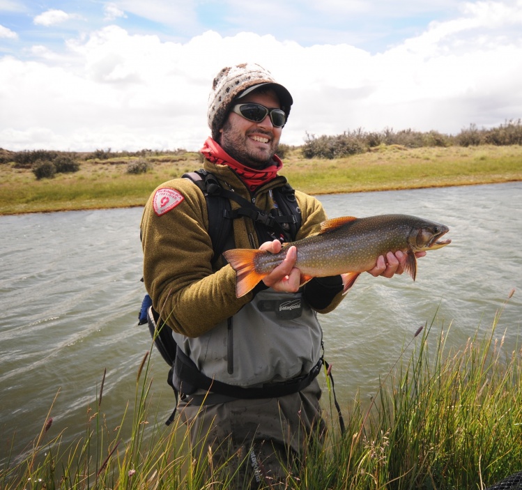 Some beautiful brook trouts from Coyle Sur river at The Route of Spring Creeks