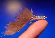 Fly-tying for Rainbow trout -  Image shared by Carlos Estrada – Fly dreamers