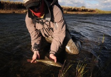  Foto de Pesca con Mosca de Trucha de arroyo o fontinalis compartida por Juan Manuel Biott – Fly dreamers