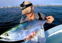 Marty Gallipeau 's Fly-fishing Image of a False Albacore - Little Tunny – Fly dreamers 