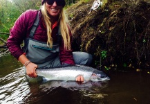 Fly-fishing Image of Steelhead shared by Jacklyn Highfill – Fly dreamers