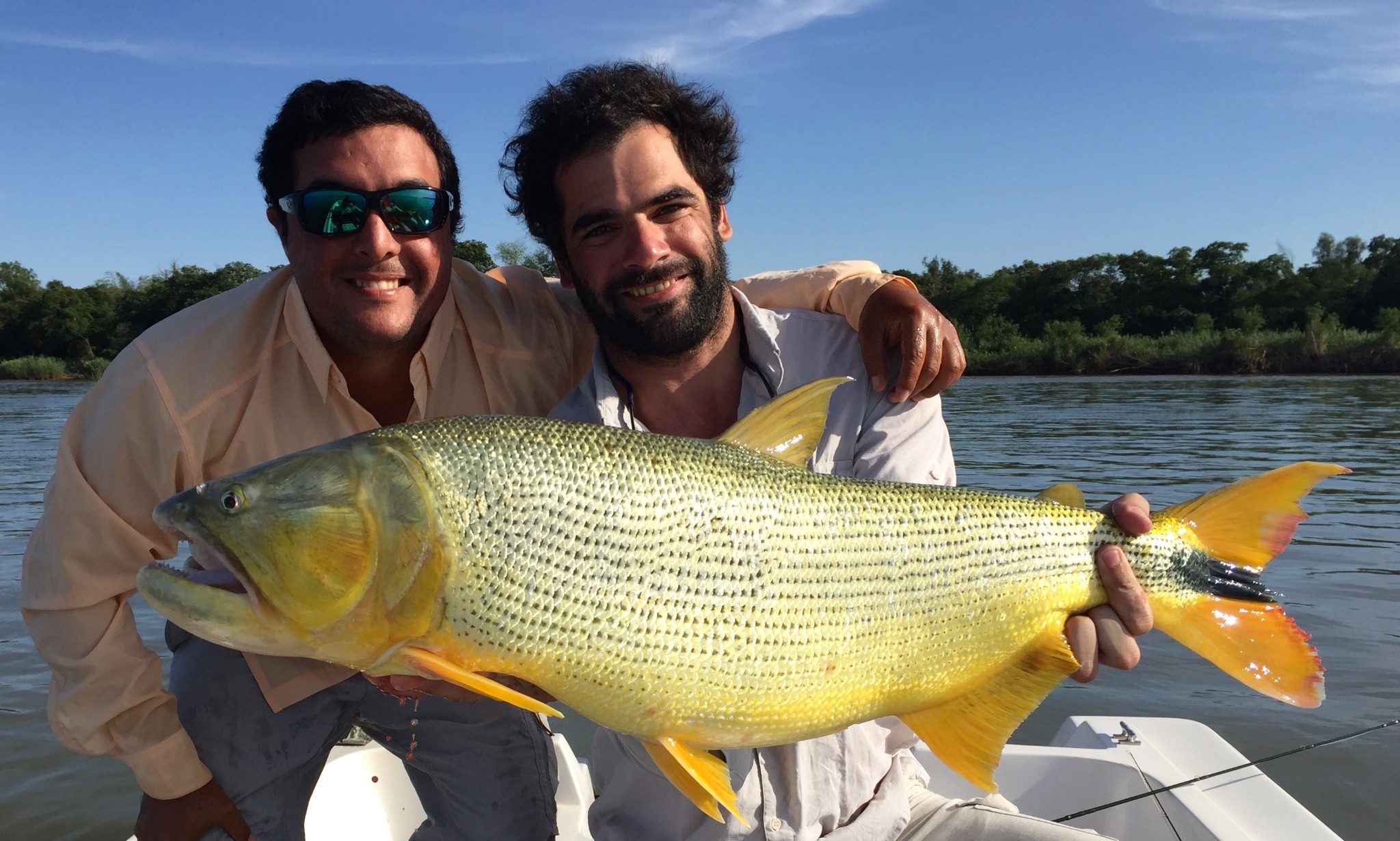  Foto de Pesca con Mosca de Freshwater dorado compartida por Alfonso Aragon – Fly dreamers