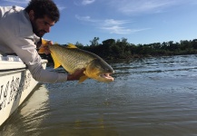 Alfonso Aragon 's Fly-fishing Image of a Freshwater dorado – Fly dreamers 