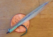 Fly-tying for False Albacore - Little Tunny - Picture by Jason Taylor 