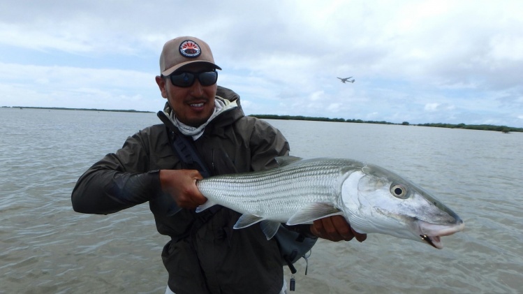 Got a day off from guiding and scored a chunky hawaiian bonefish.
Capt. Jesse Cheape
www.hitideflyfishing.com
